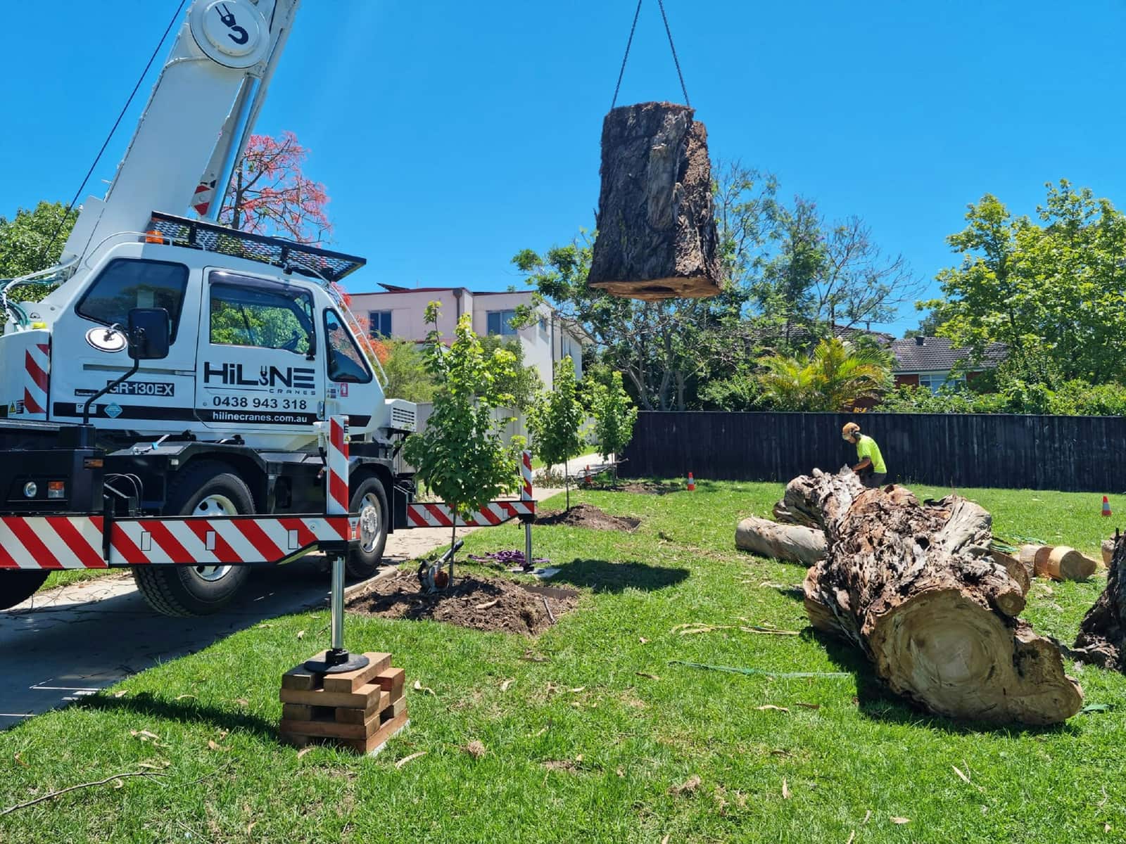 Tree services Charlotte NC